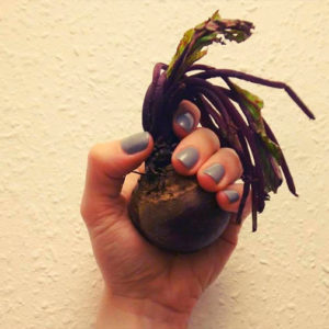 A hand holding up a beetroot